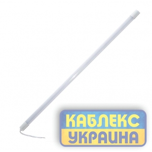Світильник світлодіодний промисловий EVROLIGHT WL2-36-K 36Вт 6400K IP65 (40 шт.)