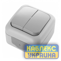 Вимикач 2 зовнішній PALMIYE ViKo сірий