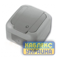 Розетка з заземленням і шторками PALMIYE ViKo сірий