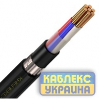 ВБбШв нг 2х70 - (0,66 кВ) (КУ)