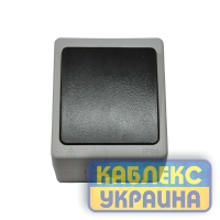 Вимикач зовнішній вологозахищений 1-й, IP 54 (10/100), Elbrus GISelt