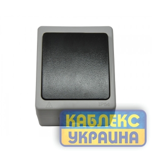 Вимикач зовнішній вологозахищений 1-й, IP 54 (10/100), Elbrus GISelt