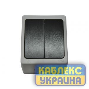 Вимикач зовнішній вологозахищений 2-й, IP 54 (10/100), Elbrus GISelt