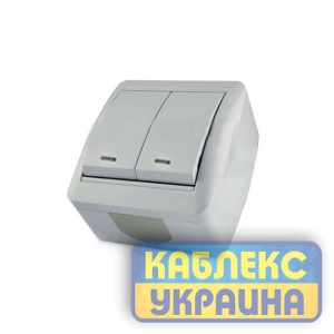 Вимикач 2-й зовнішній з підсвічуванням IP-44 (10/120), Viktori GISelt