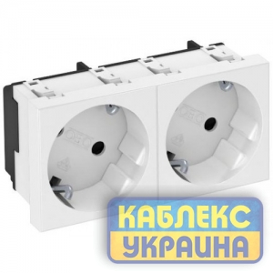Розетка modul 2x45 с заземл. та шторками 250V~, 16A, 33˚ / біла