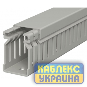 Перфорований кабельний канал 25x40 / ПВХ