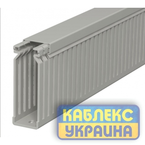 Перфорований кабельний канал 25х80/ПВХ