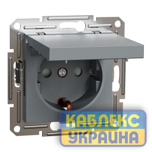 Розетка із з/к із кришкою Asfora сталь