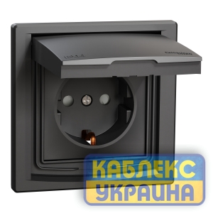 Розетка із заземленням із захисними шторками та кришкою Asfora Антрацит