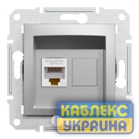 Розетка комп’ютерна Asfora Алюміній