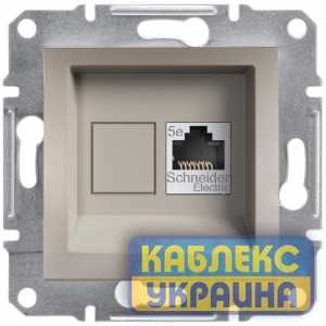 Розетка комп’ютерна Asfora Бронза