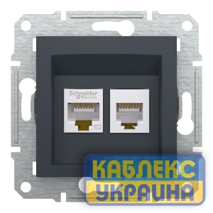 Розетка комп’ютерна + телефонна Asfora Антрацит
